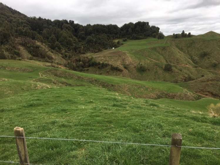 3434 State Highway 4 Aria_5