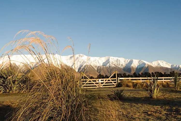 620 Coleridge Road Windwhistle_8