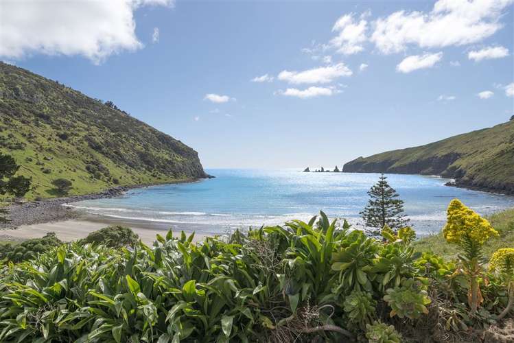 384 Decanter Bay Road Little Akaloa_19