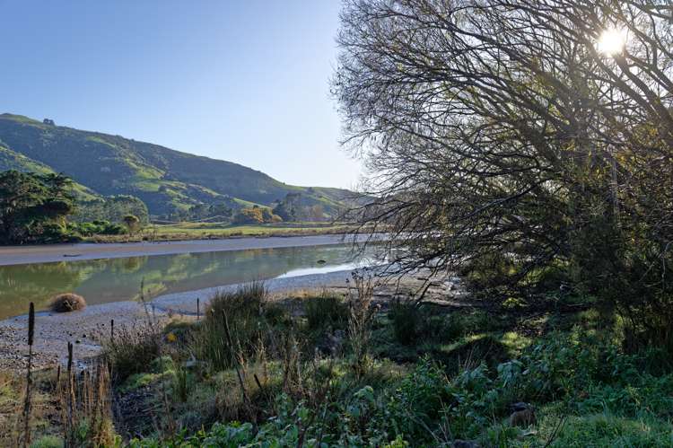 115 Dalglishs Road Le Bons Bay_8