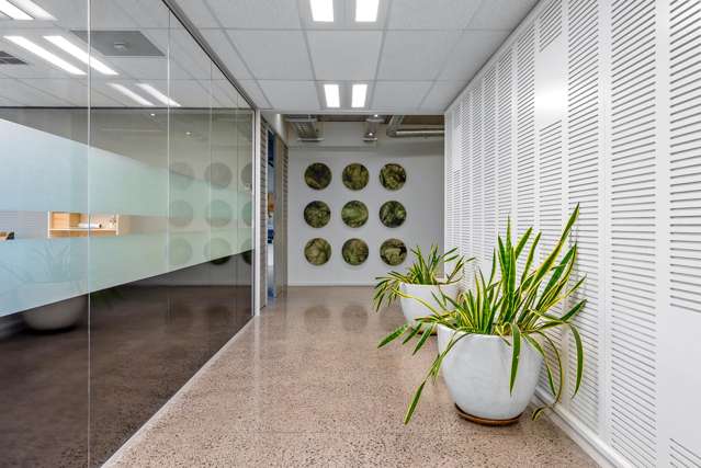 483A Rosebank Road Avondale_3