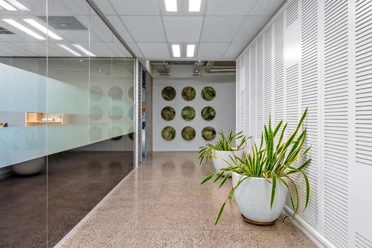 483A Rosebank Road Avondale_3