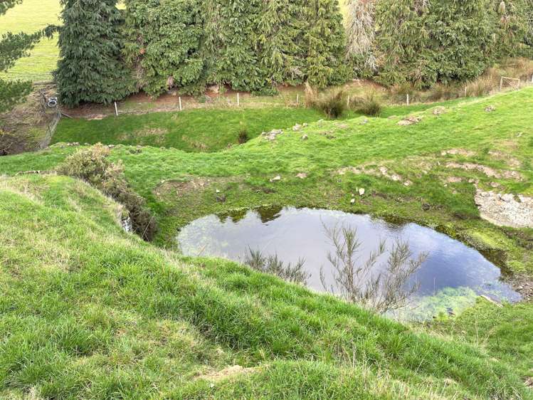 318 Hillend Road Balclutha_11