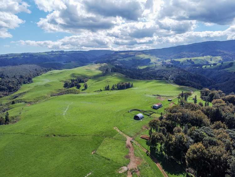 870 Mangati Road Pirongia_49