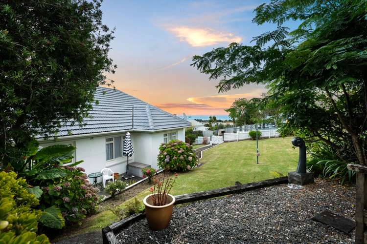 102 Edward Street Thames_13