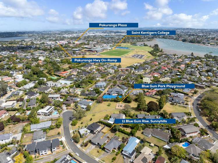 11 Blue Gum Rise Sunnyhills_3