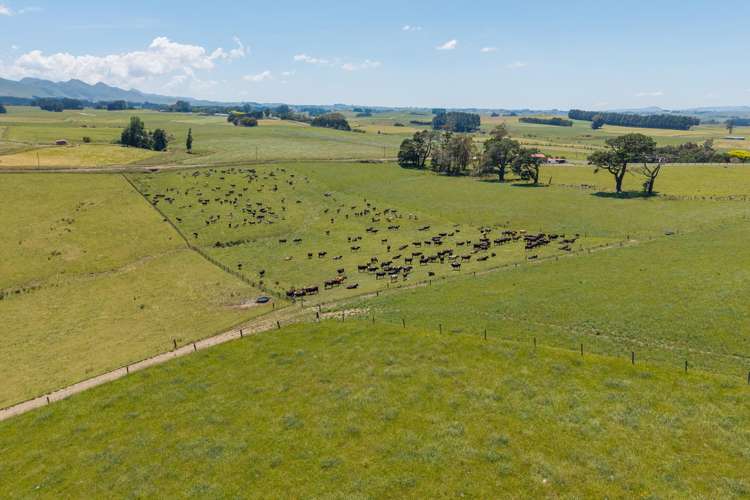 493 Smith Road Dannevirke_20