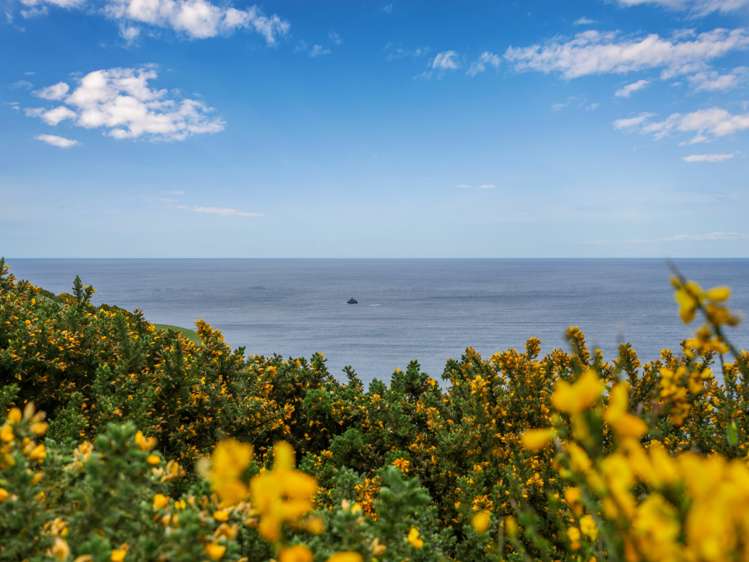 281 Hillhead Road Corstorphine_9