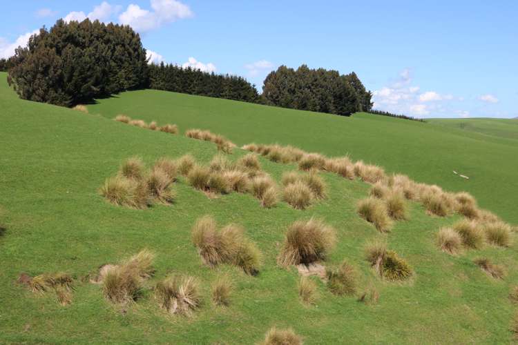 348 Keppoch Road West Otago Surrounds_22