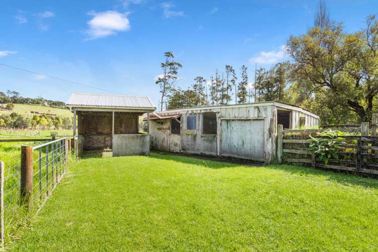 1102 Peak Road Waikoukou Valley_21