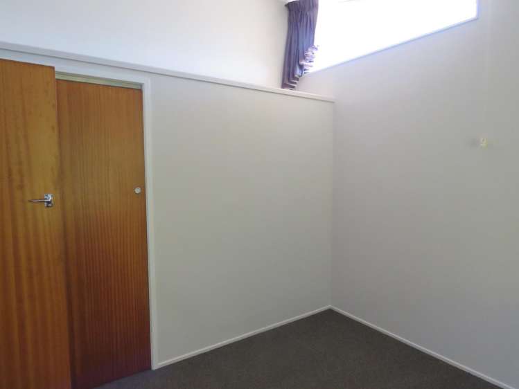 19b Norman Street Vogeltown_10