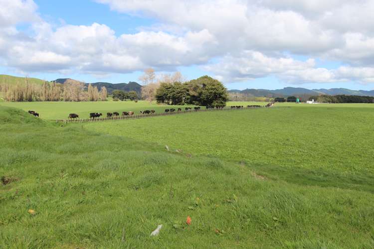 155 Bluff Road Pahiatua_10
