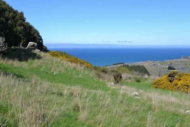 215 Green Island Bush Road Waldronville_1