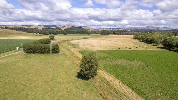 167 Ponatahi Road Martinborough_17