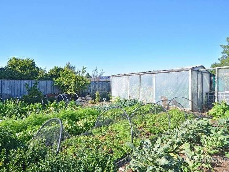 21 Philip Street Carterton_9