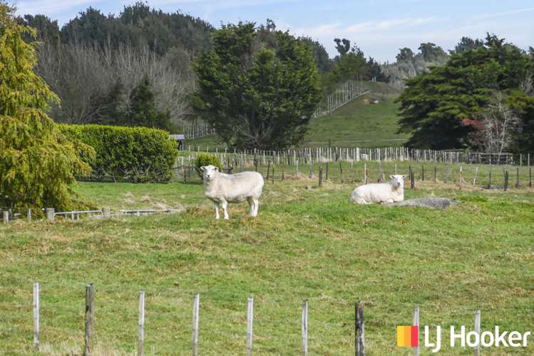 18 Old State Mill Road Mamaku_17