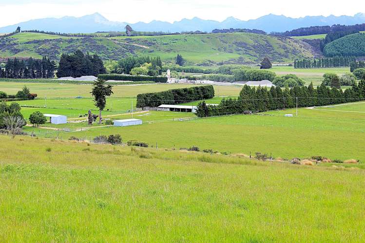 105 Lynwood Road Hillside_3