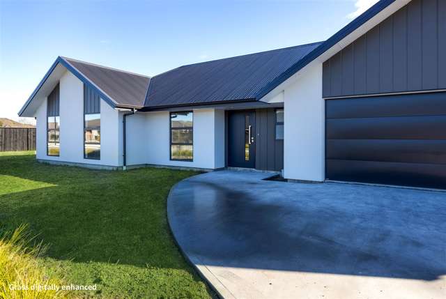 31 Nikau Drive Redwoodtown_3