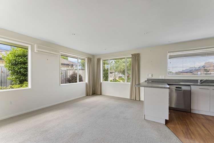 22 Hilton Place Blenheim Central_5