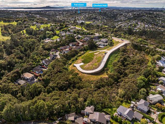 9 Koru Lane Greenhithe_4