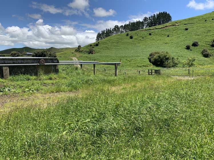 678 Bird Road Stratford_16