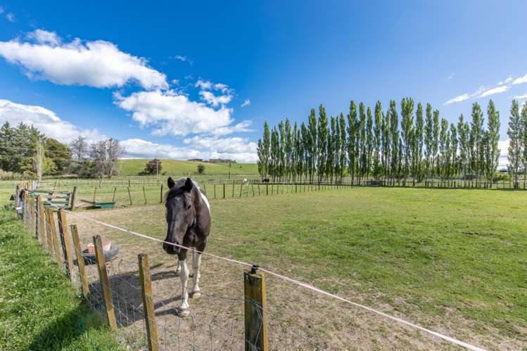 471 Porangahau Road Waipukurau_5