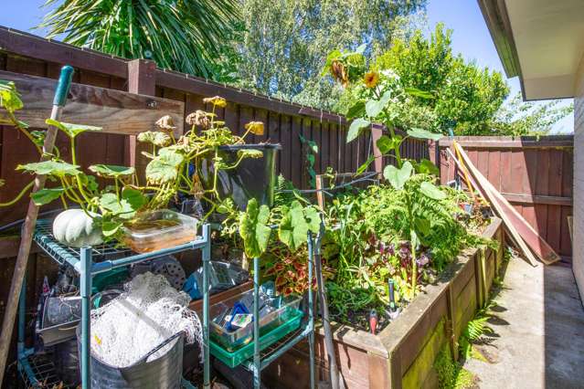 31A Dalkeith Street Hoon Hay_4