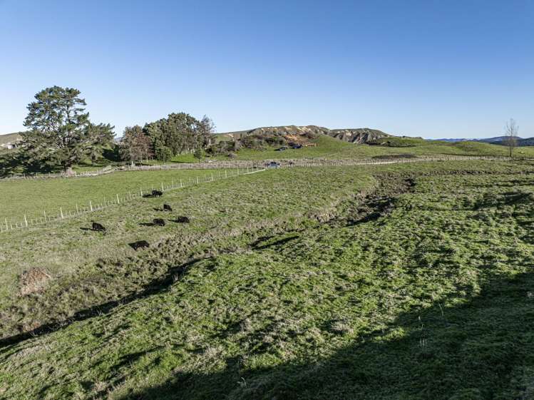 142 Pohokura Road (subdivision of) Tutira_26