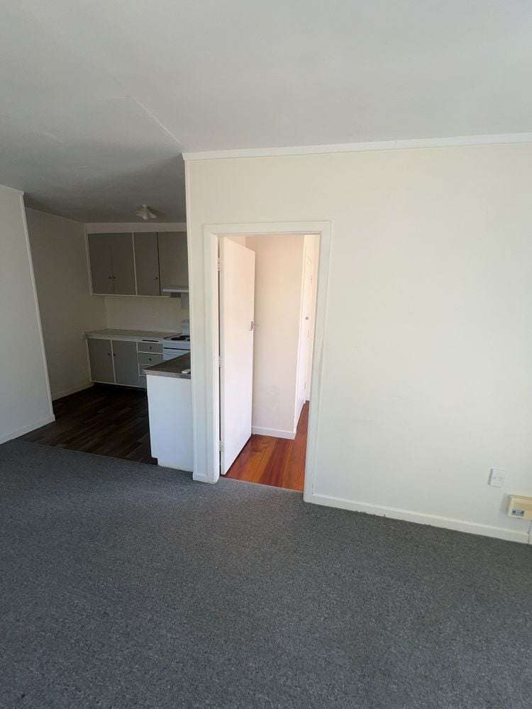 1/3 Littler Place Hamilton East_2