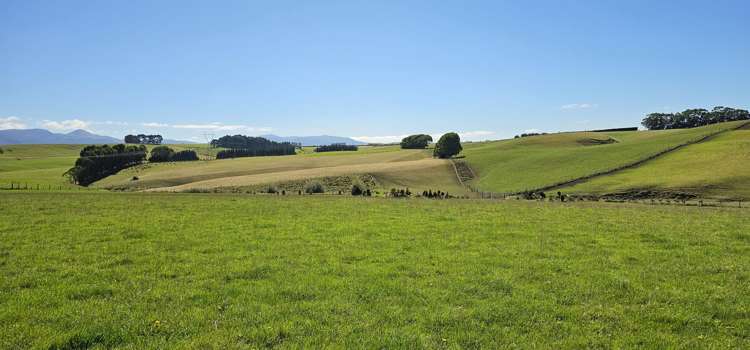 1550 Waimumu Road Te Tipua_9