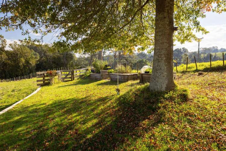 135A McLaren Falls Road Lower Kaimai_35