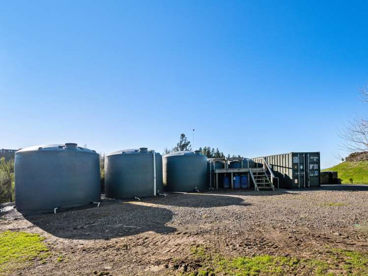 299b Whakamarama Road Whakamarama_18