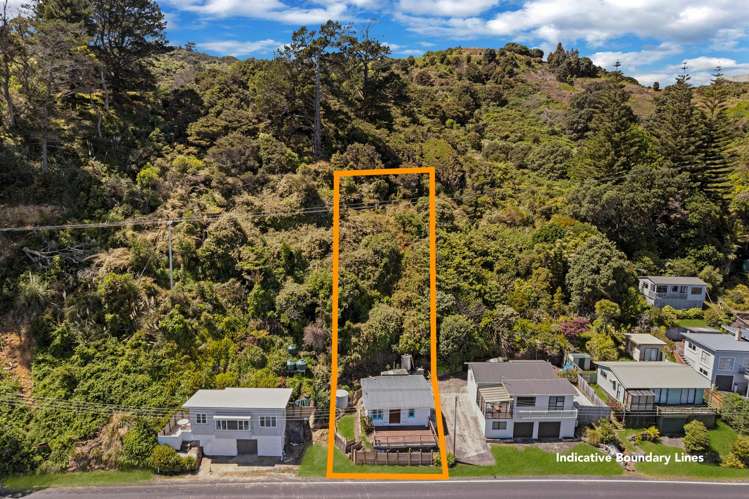 814 Thames Coast Road Te Mata_19