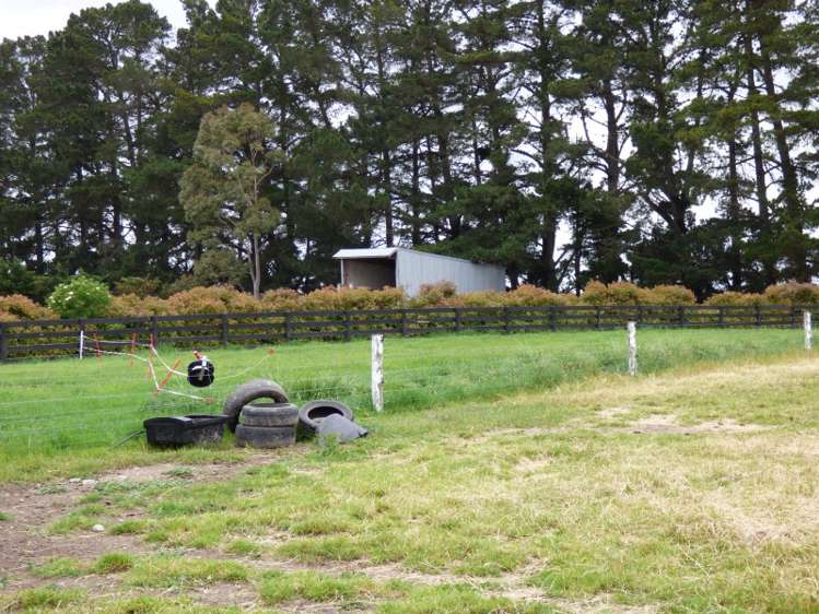 924 Telegraph Road Darfield_13