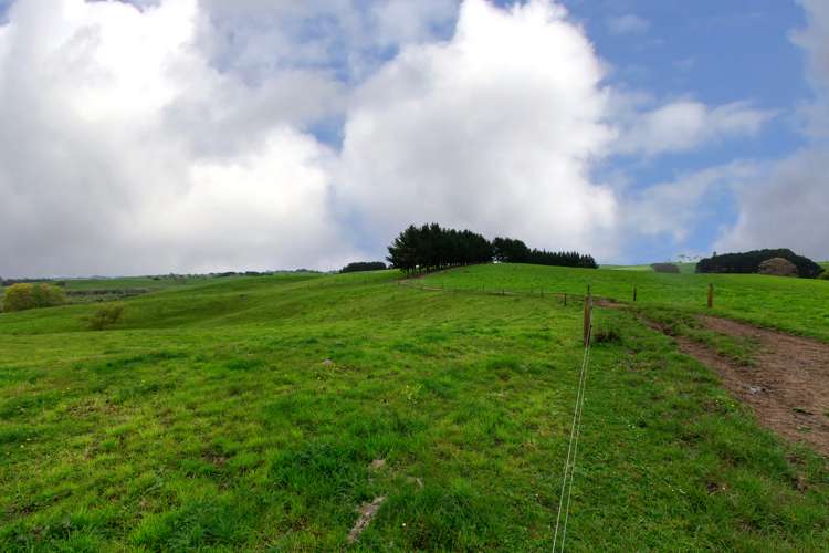 44 Black Road Te Kauwhata_5