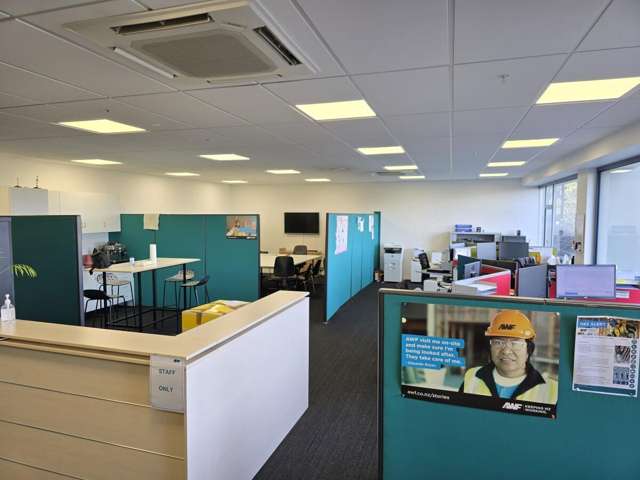 47 The Esplanade Petone_2