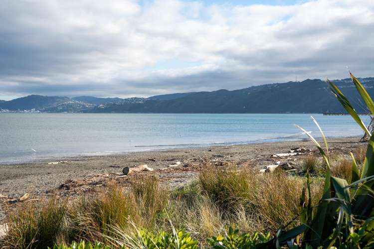 15/337 Jackson Street Petone_14