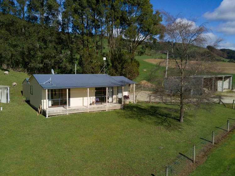 380 Matheson Road Catlins Surrounds_21