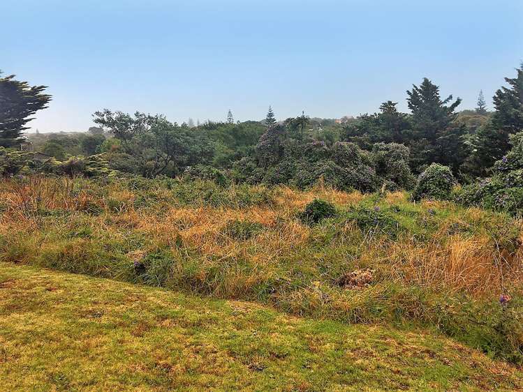 11 Kawau Grove Waikanae Beach_4