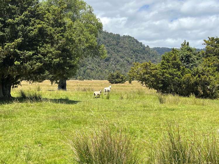 State Highway 6 Ross_13