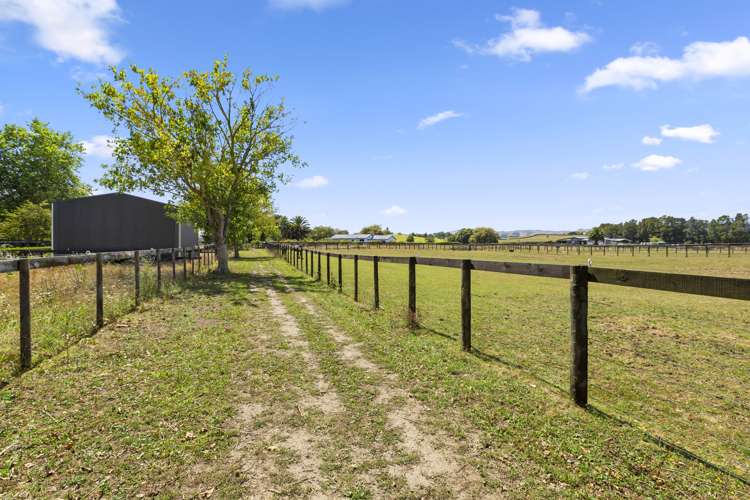 854b Tauwhare Road Tauwhare_1