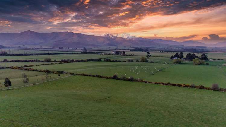 219 Wyndale Road Springfield_35