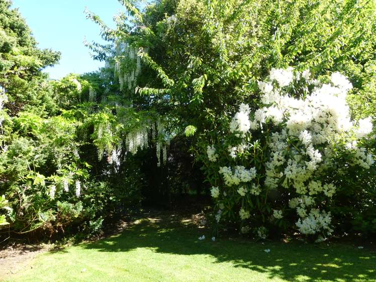 28 Duncraig Street Hawthorndale_24