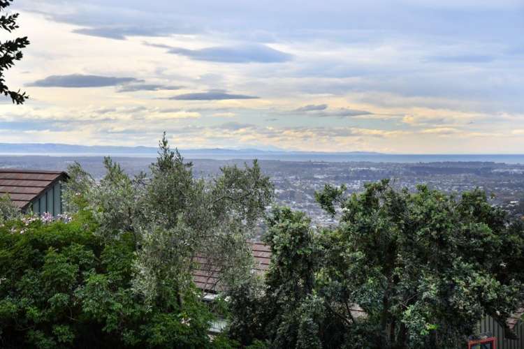 175 Hackthorne Road Cashmere_5