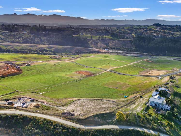 Kamana Estate Mapua_18