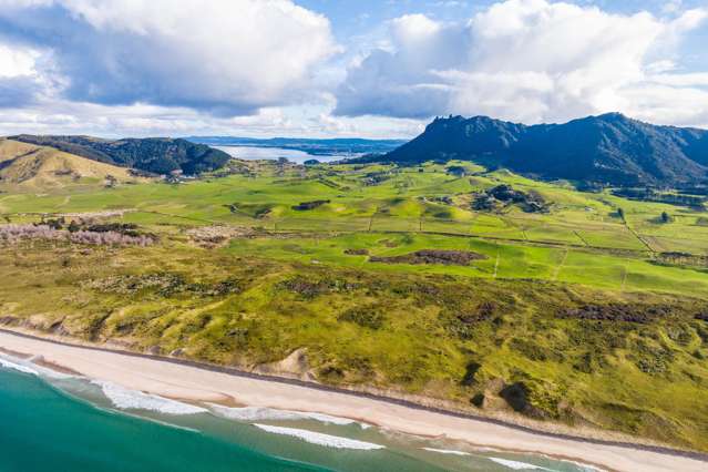 Dream Coastal Sections - Whangarei Heads