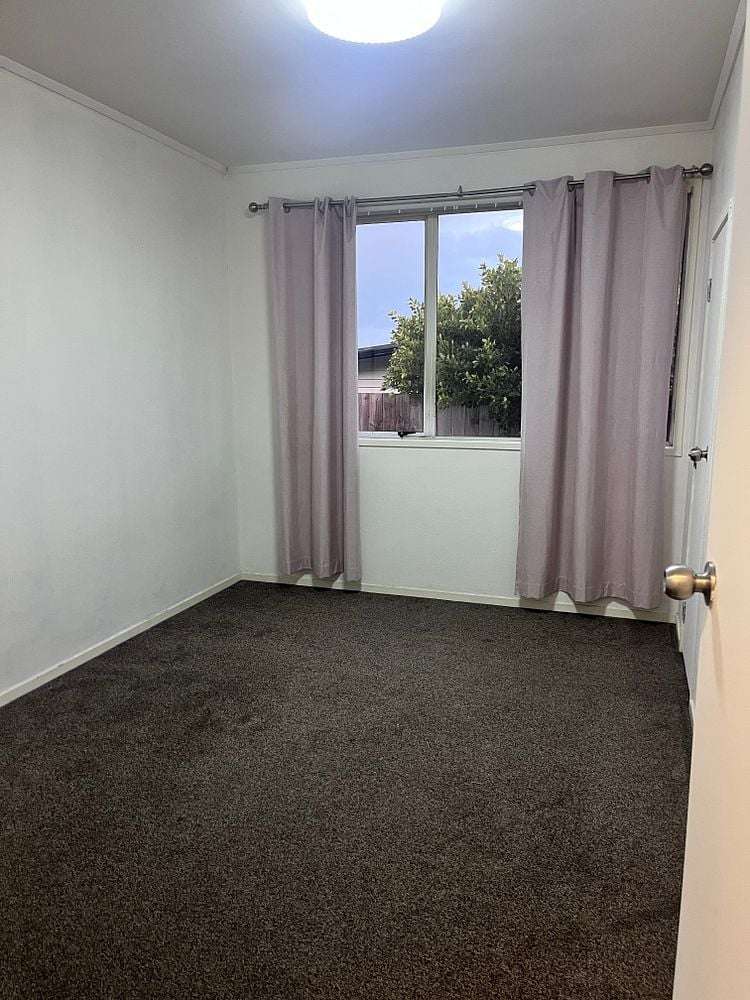 217 Sturges Road Henderson_7