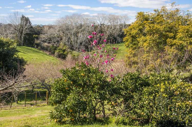 107 Thompsons Track Aongatete_15