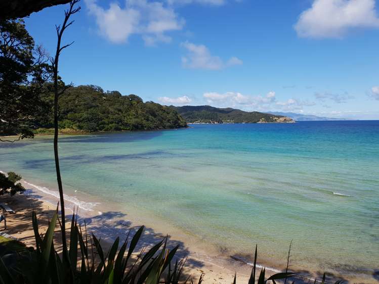 456 Shoal Bay Road Great Barrier Island (Aotea Island)_4