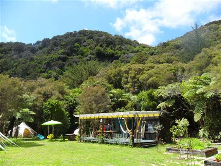 219 Parapara Valley Road Parapara_11